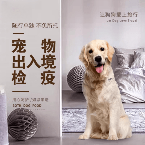 浙江省宠物托运到哥伦比亚猫狗宠物入境规定和