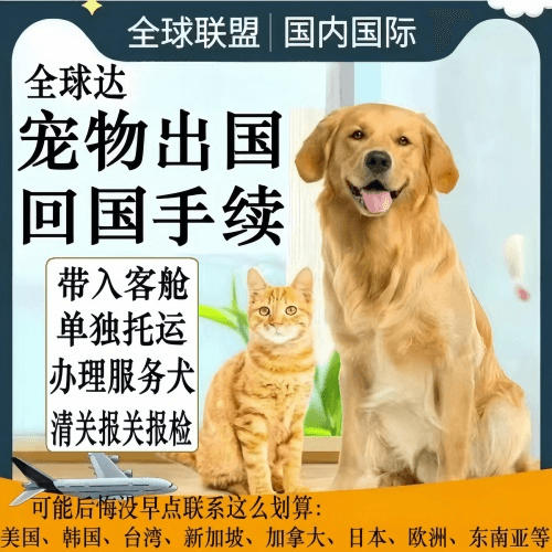 浙江省宠物托运到柬埔寨宠物入境规定和要求