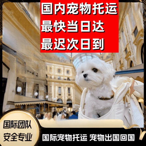 浙江省到澳大利亚（澳洲）宠物入境规定和要求
