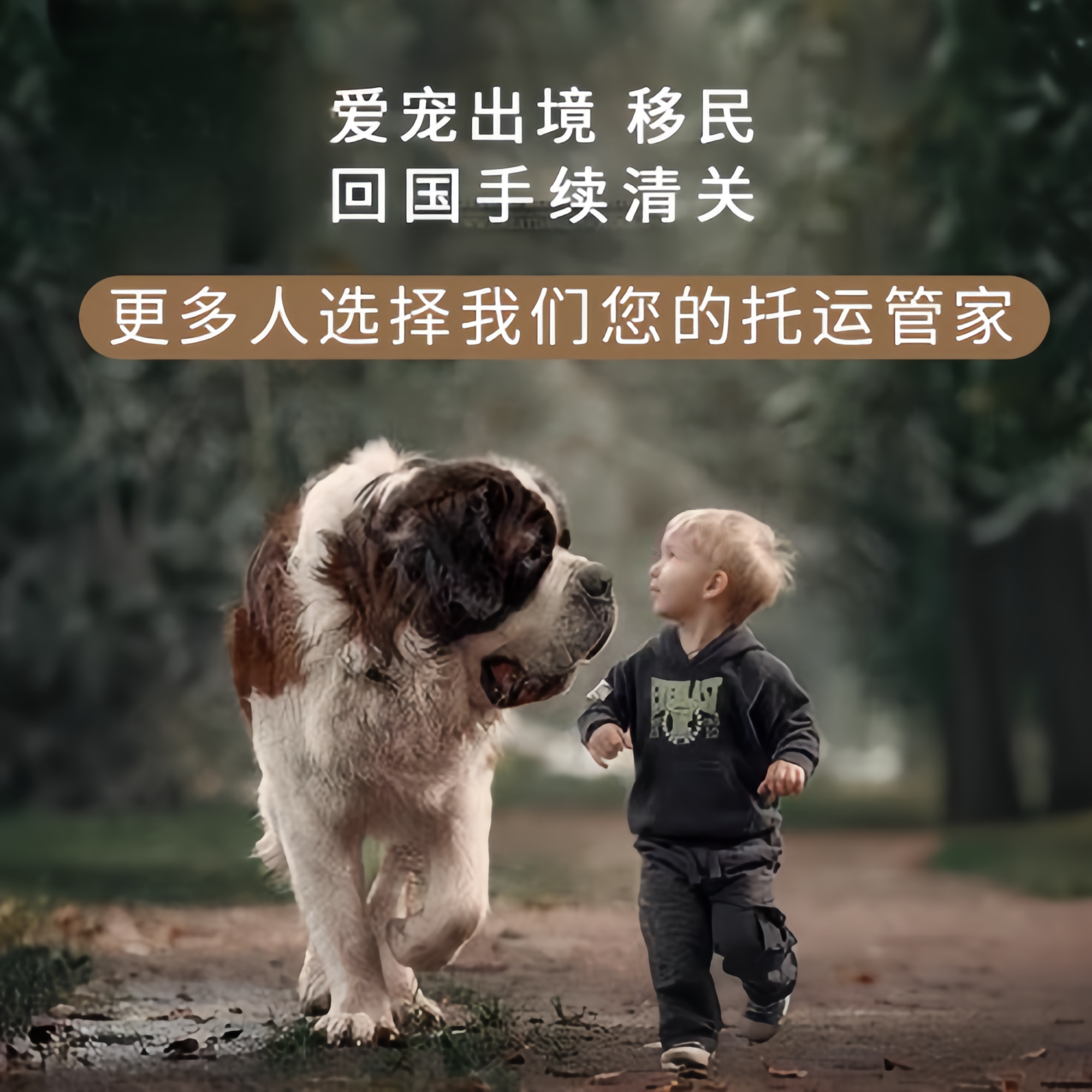 满财浙江省宠物全球达宠物托运在遵守入境目的地政策的条件