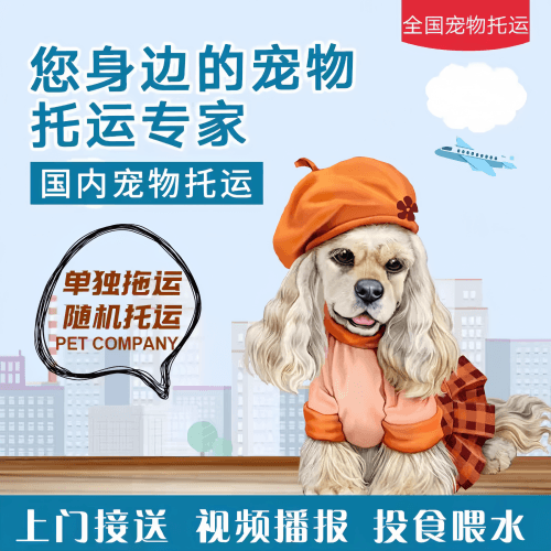 满财浙江省宠物全球达宠物托运作为专业的宠物运输代理机构